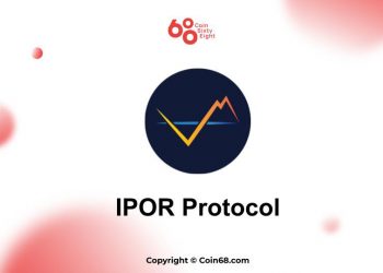 IPOR protocol
