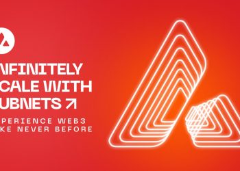 Subnet: Time to minimize transaction costs and maximize the user experience