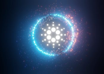 The number of addresses holding ADA reaches a new high, what makes Cardano investors "to believe" Like this?