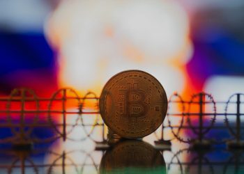 The strategist warns that governments are "undermining" the Bitcoin lifestyle