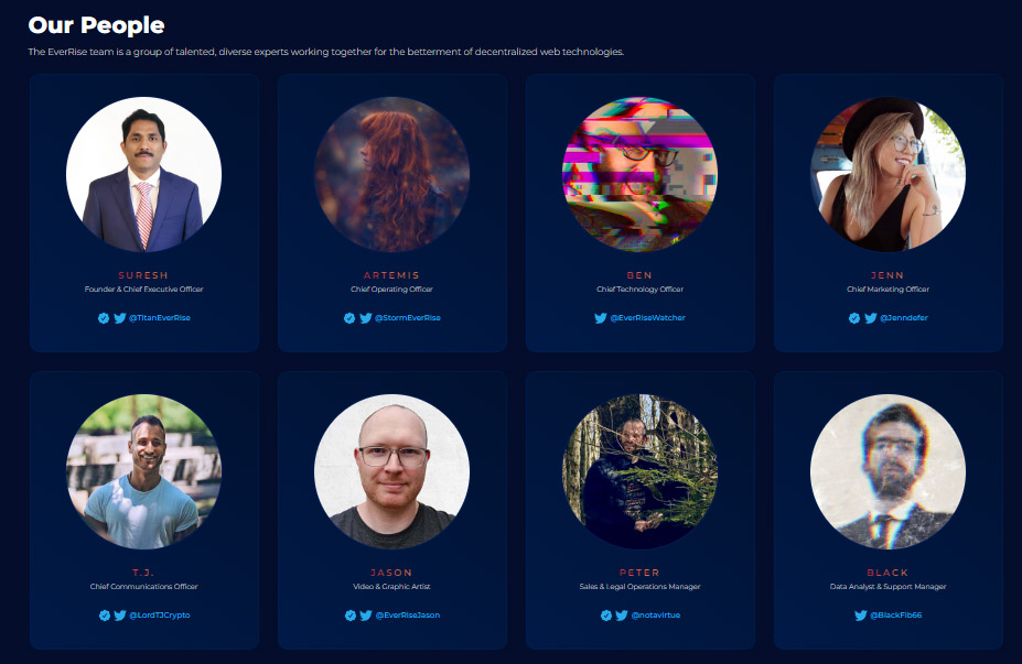 EverRise project development team