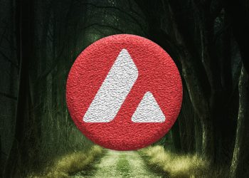 Avalanche (AVAX) sets a new record in networking activity and a few words from the project founder