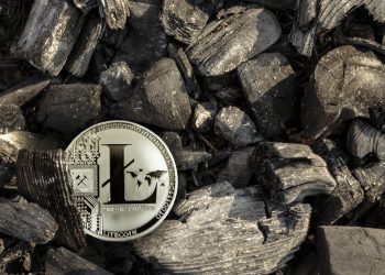 Binance stops supporting Litecoin (LTC) deposits and withdrawals using the Mimblewimble update