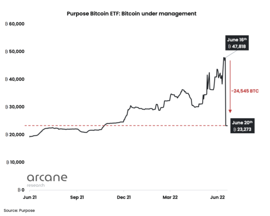 Purpose Bitcoin ETF loses 50% AuM