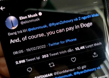 Elon Musk, Tesla, SpaceX sued for "seduction" to invest Dogecoin (DOGE)