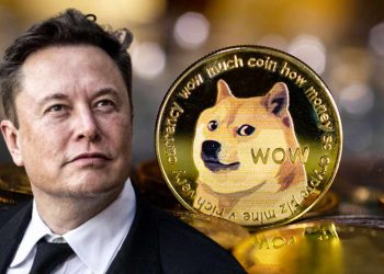 Elon Musk announced his support for Dogecoin because he wanted it "empathetic" with the poor