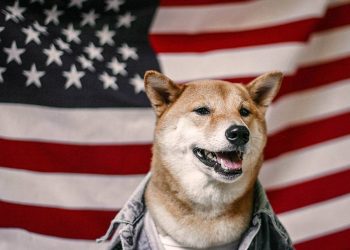 The US Senate candidate wants to propose Dogecoin (DOGE) as a currency