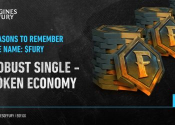 The reason why Engines of Fury (FURY) chose to build a single token economy