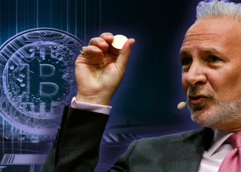 Peter Schiff Says: Bitcoin Price Bottoms At $6000
