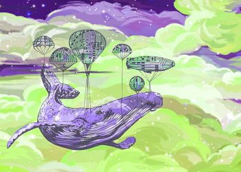 Crypto Whales Sudden Move Near $two,000,000,000 in Bitcoin as BTC Crosses $twenty,000: Online Data