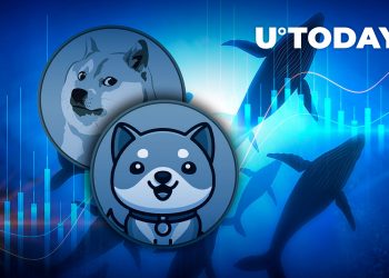 Meme Coins BabyDoge, Dogecoin chosen by BSC Whales as Top Smart Contract