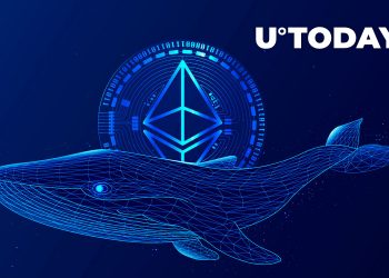 Massive Ethereum Whales Return to Market After 15% Price Rise