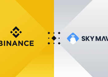 Binance cuts investments in Sky Mavis
