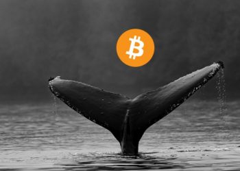 Bitcoin continues to rise to $ 23,800, the third largest rumor about whales is coming "I unload" Is 61,000 BTC real?