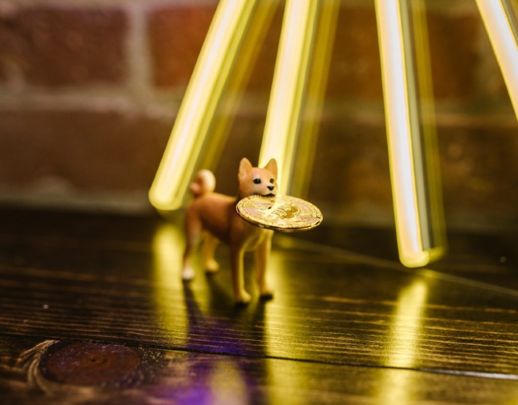 The lead developer of Shiba Inu (SHIB) criticizes Litecoin "out of time" and the reaction of the LTC team