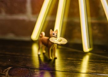 The lead developer of Shiba Inu (SHIB) criticizes Litecoin "out of time" and the reaction of the LTC team