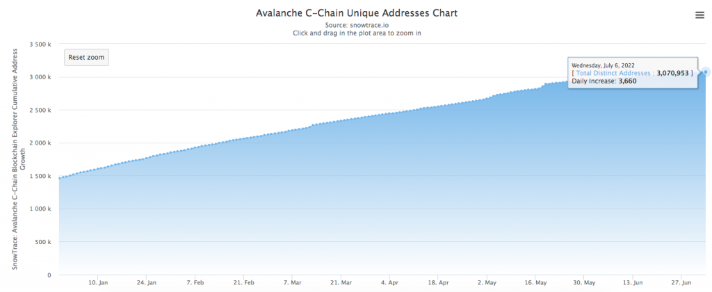 Looking back on the first 6 months of 2022: Avalanche and the "subnet dream"