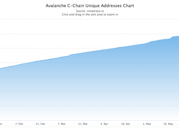 Looking back on the first 6 months of 2022: Avalanche and the "subnet dream"