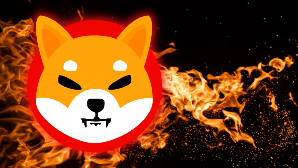 Shiba Inu had a problem with the SHIB coin burning gate which made the community extremely "angry"