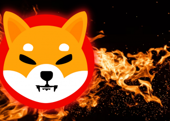 Shiba Inu had a dilemma with the gate burning SHIB coins, producing the local community very "outraged" 7 Shiba Inu had a problem with the SHIB coin burning gate which made the community extremely "angry"