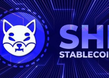 Shiba Inu "hidden" plans to release stablecoins, bonus tokens and card game titles