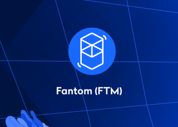 The Fantom community has approved the proposal to use the coin burning tax to create a fund to support ecosystem development