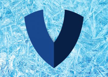 Vauld asked for a moratorium "to pay" have more time to restructure the company