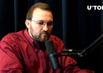 Cardano Founder Talks About Causes of Crypto Market Crash  ADA Discount eight%