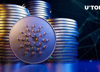 Cardano-Cosmos Launches Ecosystem Bridge, Network Stats Accelerator