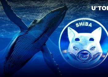 SHIB nevertheless holds the greatest USD asset for Whale but this is exactly where ALCX overtakes it