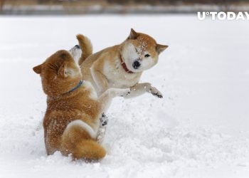 Dogecoin Co-Founder Billy Markus Blocks on Twitter