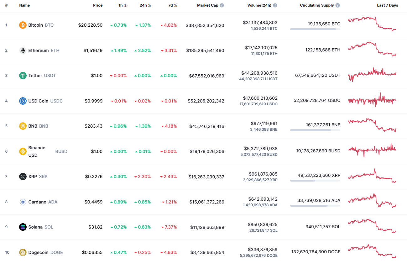 Top Coins According to CoinMarketCap