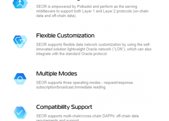 Particular features of the SEOR network