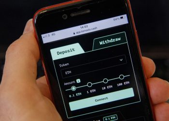 The Netherlands arrest the developer of Tornado Cash