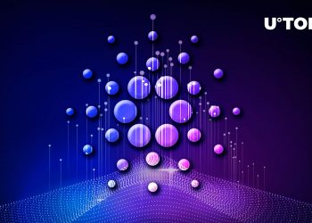 Cardano Builder introduces Daedalus edition to Mainnet.  Here’s what is new