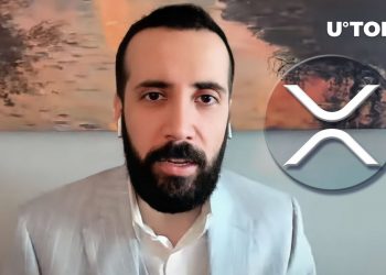 This is when XRP will get off, David Gokhshtein believes and even extra will take place