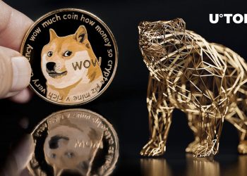 Dogecoin (DOGE) co-founder has anything to say about the bear market place