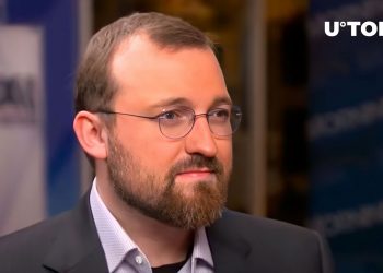 Charles Hoskinson Talks About Another Thing That Could Benefit Blockchain