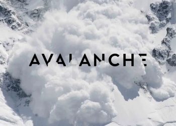 A vulnerability has appeared that could bring down the Avalanche Network (AVAX).