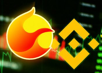 Binance's stance on the LUNC "coin consumption tax" proposal