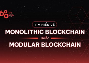 Discover the Monolithic Blockchain and the Modular Blockchain