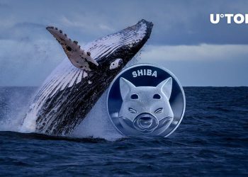 This whale buys $22.two million well worth of SHIB in a week: Details