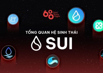 Sui ecosystem overview
