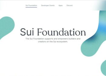 Sui Foundation sponsors the project, pays extra in SUI