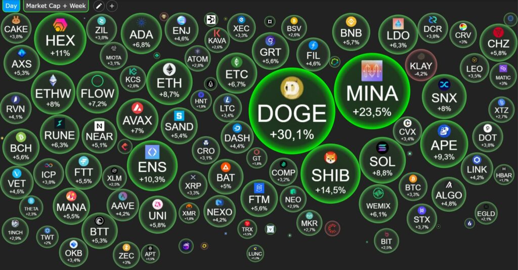 Thanks to Elon Musk, Dogecoin (DOGE) reached the highest peak since the LUNA crash