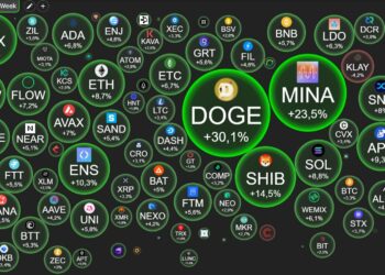 Thanks to Elon Musk, Dogecoin (DOGE) reached the highest peak since the LUNA crash