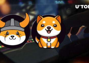 SHIB rivals FLOKI and BabyDoge put together important announcements: Details 8 SHIB rivals FLOKI and BabyDoge put together important announcements: Details