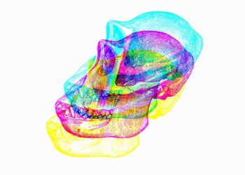 ApeCoin blocks North American users from the upcoming APE staking product