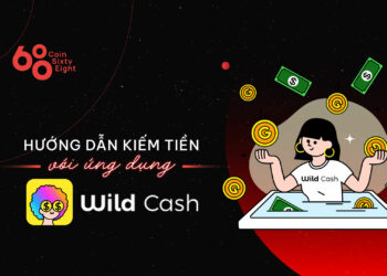 Instructions for earning with the Wild Cash application