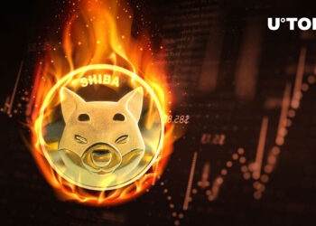Shib burn up fee soars 153% as cost exhibits modest gains